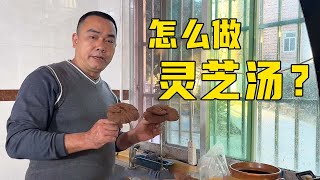 大山意外收获两只灵芝，今天煲汤来喝，第一次做差点糟蹋好材料【大山农家小院扣肉佬】