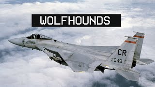 32ND TFS WOLFHOUNDS | Soesterberg