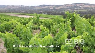 Yangarra Estate Vineyard in Adelaide offering unique Wine