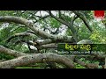 top tourist places in telangana best natural tourist places 2017 bhaarattoday