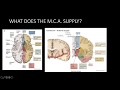 STROKE SYNDROMES