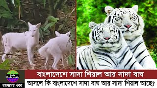 বাংলাদেশে সাদা শেয়াল আর সাদা বাঘের রহস্যময় ইতিহাস জানুন | সাদা বাঘ | সাদা শিয়াল | White Tiger