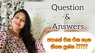 Sakura wehi first Question \u0026 Answer segment | Sinhala | ජපන් එන්න ඉන්න අයට තියන ප්‍රශ්න මොනවාද ?