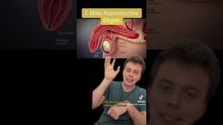 Top 10 Design Flaws in the Human Body (Part 1)