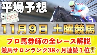 【11月9日土曜競馬予想】8週連続の新馬戦的中へ‼️プロが平場全レース予想を無料公開！【平場予想】