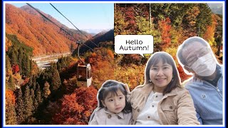 FUJIMIDAI KOGEN ROPEWAY (HEAVEN SONOHARA)