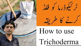 How to use Trichoderma in your field | Dr. Jamil Shafi | Plant Clinics