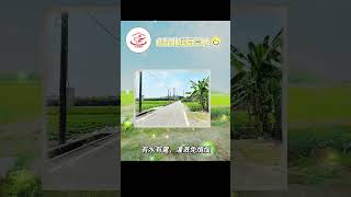 住福團隊丨住商不動產丨雲林優質好地推薦-虎尾北溪厝農地1+2