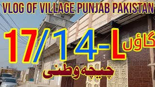 Village 17/14-L Ccw Montgomery | Rural Life | Vlog Of Village Punjab Pakistan | Punjab Village Tv