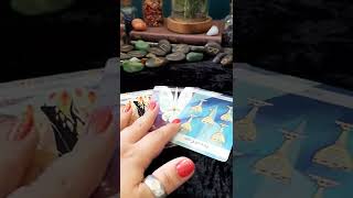 Am I on their mind? Timeless Tarot Card Reading | Hope Tarot Daily