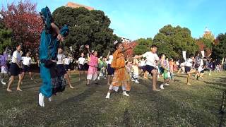 2013おどるんや秋祭り　吹上チャレンジャーズ