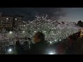 【4k】2025東湖康樂公園 樂活公園 夜櫻季 night view of cherry blossom in lohas park