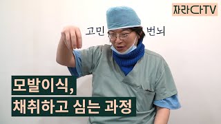 모발이식 모낭을 채취하고 심는 과정은 어떻게 이뤄질까?