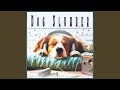 Peaceful Pet Melodies