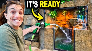 Our Baby Gator Tank Is About To Change Forever!