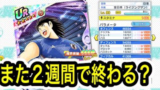 今年の日向の寿命は、2週間説な朝