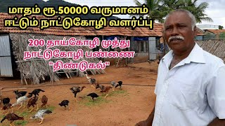 மாதம் ரூ.50000 லாபம் தரும் நாட்டுகோழி வளர்ப்பு @Country chicken farm