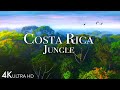 Costa Rica Jungle 4K - Beautiful Tropical Rainforest with Exotic Wildlife | Scenic Relaxation Film