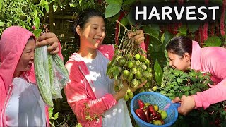 Ang daming naharvest sa farm at Bubuksan na ang Shop | BUHAY PROBINSYA | ROMALYN VLOGS