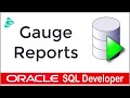 Oracle SQL Developer - Gauge Reports