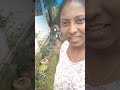 ഒരു കാന്താരി കഥ🌶️😱😜 chili greenchili viral family familyvlog idukki trending shots