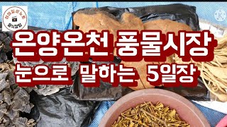 겨울 온양온천역 눈으로  말하는 풍물시장 여행