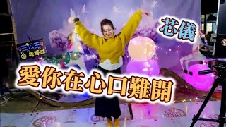 三公主 芯儀🎤 愛你在心口難開 (DJ版)