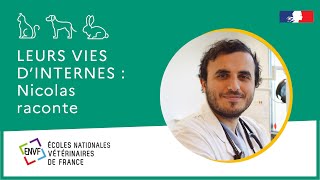 LEURS VIES D'INTERNES - Nicolas nous raconte son parcours