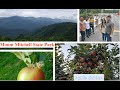 Mount Mitchell State Park! Apple garden- Sky top Orchard!! North Carolina, USA!!!