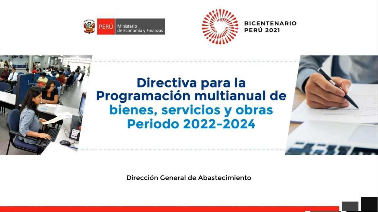 Directiva Para La Programación Multianual De Bienes, Servicios Y Obras ...