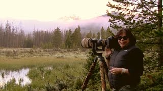 What I learned on a 2-day wildlife photography safari in Colorado