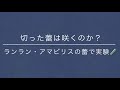 2021年3月7日　胡蝶蘭の切った蕾は咲くのか？　ミディサイズで実験🧪　ランラン・アマビリス　ホヤ サクララン