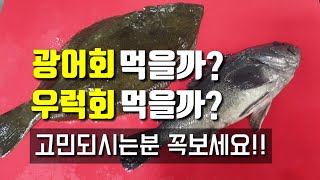 광어회먹을까? 우럭회먹을까? 더이상 고민하지마세요 완벽비교분석!!