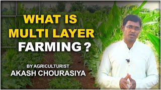 What is Multilayer Farming | Benefits of Multilayer Farming | Akash Chourasiya | Hybiz tv