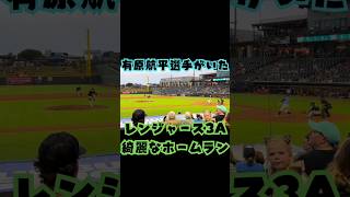 毎年の野球観戦旅行🇺🇸⚾️ワクワクで楽しい✨🏟️ #shorts #野球 #mlb #メジャーリーグ #有原航平 #ソフトバンクホークス #baseball #baseballlife