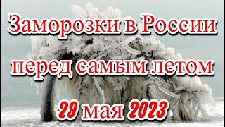 На Россию обрушаться заморозки в конце мая