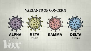 Why so many Covid-19 variants are showing up now