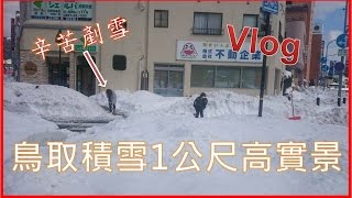 2017日本自由行的第一天，情人節這樣過是好是壞？！｜Vlog