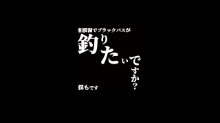 【相模湖】5月のバス釣り