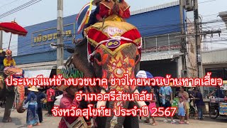 ประเพณี แห่ช้างบวชนาค ชาวไทยพวน บ้านหาดเสี้ยว ศรีสัชนาลัย ปี2567 Ep 2