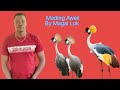 Mading Aweil _ Magai Lok new video (official audio)