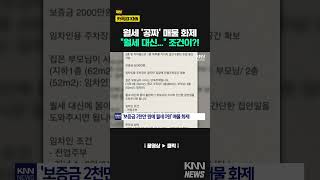 보증금 2천만 원에 '월세 0원'? 조건이... / KNN