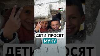 Палестинские дети просят муку на пустом складе БАПОР