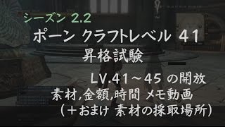 DDON攻略 | ポーン クラフトレベル昇格試験 LV.41～素材・金額・時間メモ (+素材の採取場所）シーズン2.2