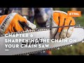 Chapter 6: Sharpening the Chain on Your Chain Saw | STIHL Tutorial