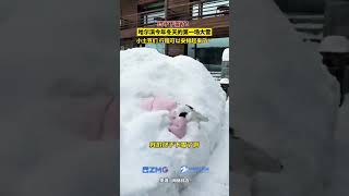 終于下雪了！哈爾濱今年冬天的第一場大雪，小土豆們，行程可以安排起來了！