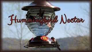 DIY Hummingbird Nectar