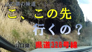 山口県の険道_こ、この先行くの？山口県県道(険道)328号線_ドラレコ動画～笠山椿群生林の紹介あり/ハムスターHamster：すず (すもも)