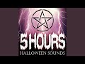 Howling Werewolves: 2 Hour Scary Halloween Background Sound Effect