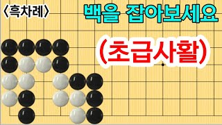 초급사활 #58 (4문제)(10급~18급)